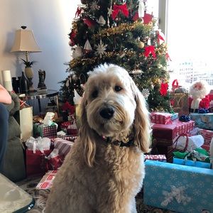 Meet your Posher, Claire